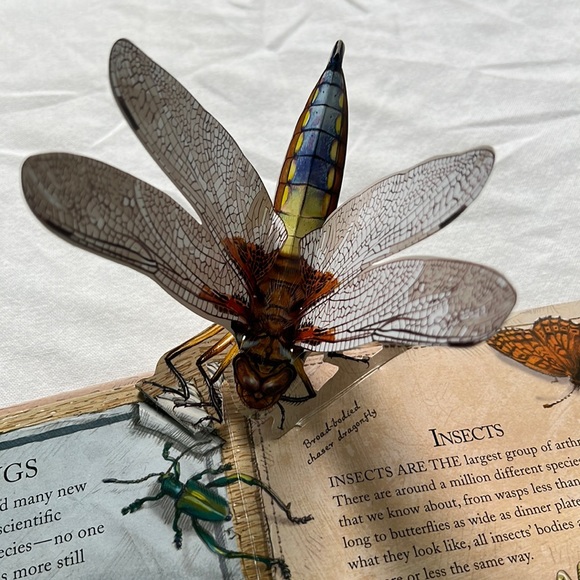 Pop Up Books (2)- Beautifully illustrated & informative books, like new! - Picture 6 of 11